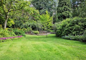 Optimiser l'expérience du jardin à Hultehouse